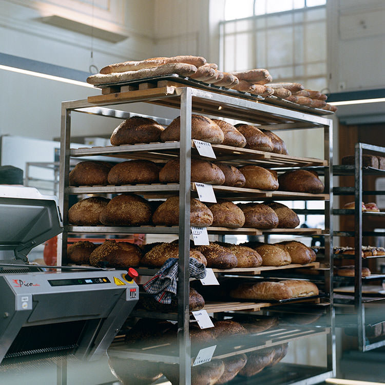 Daily Bread