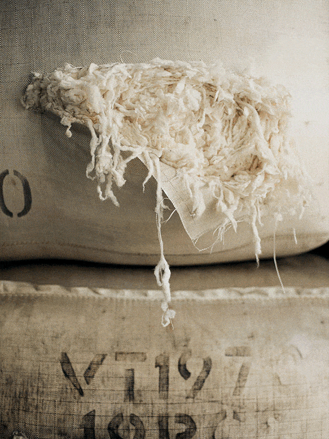 From us, to you: Cashmere 